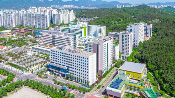 [충청투데이] K-전성시대 